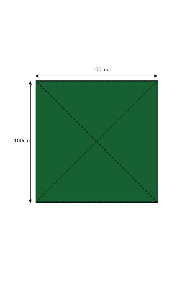 ������100*100